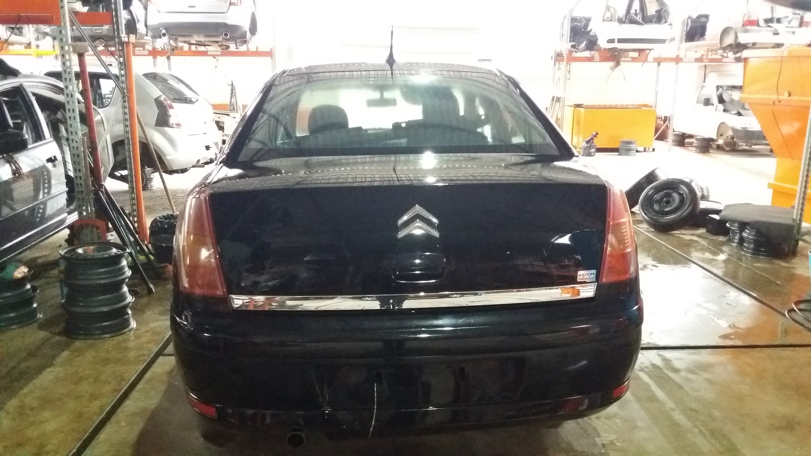 C4 Pallas
