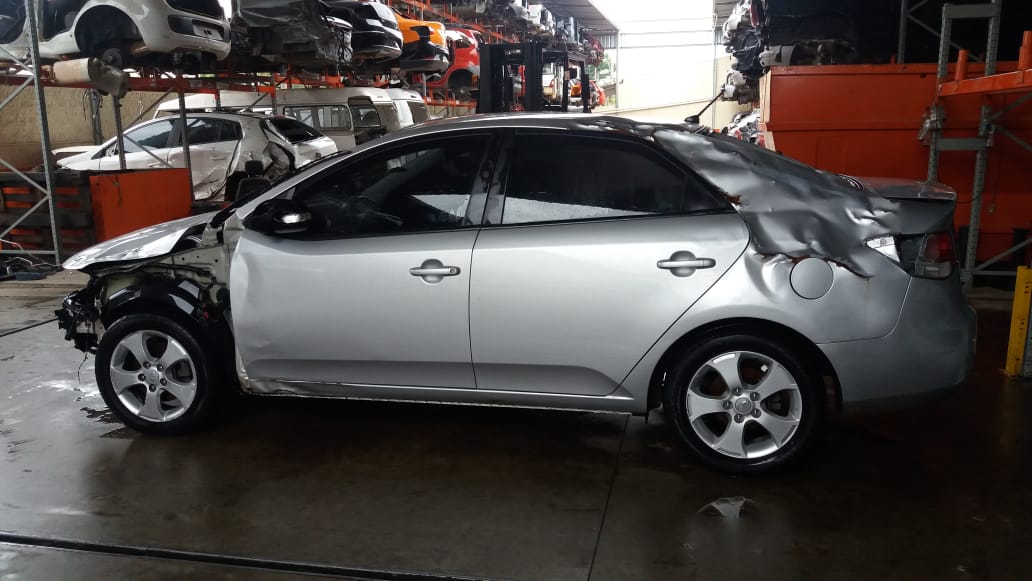 Cerato