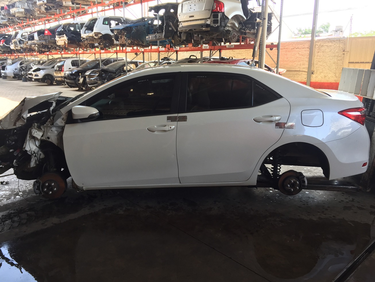 Corolla